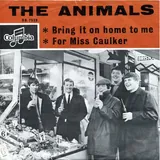 Hoes Animals - Bring It On Home To Me