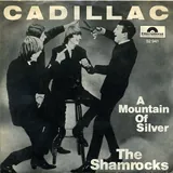 Hoes Shamrocks - Cadillac
