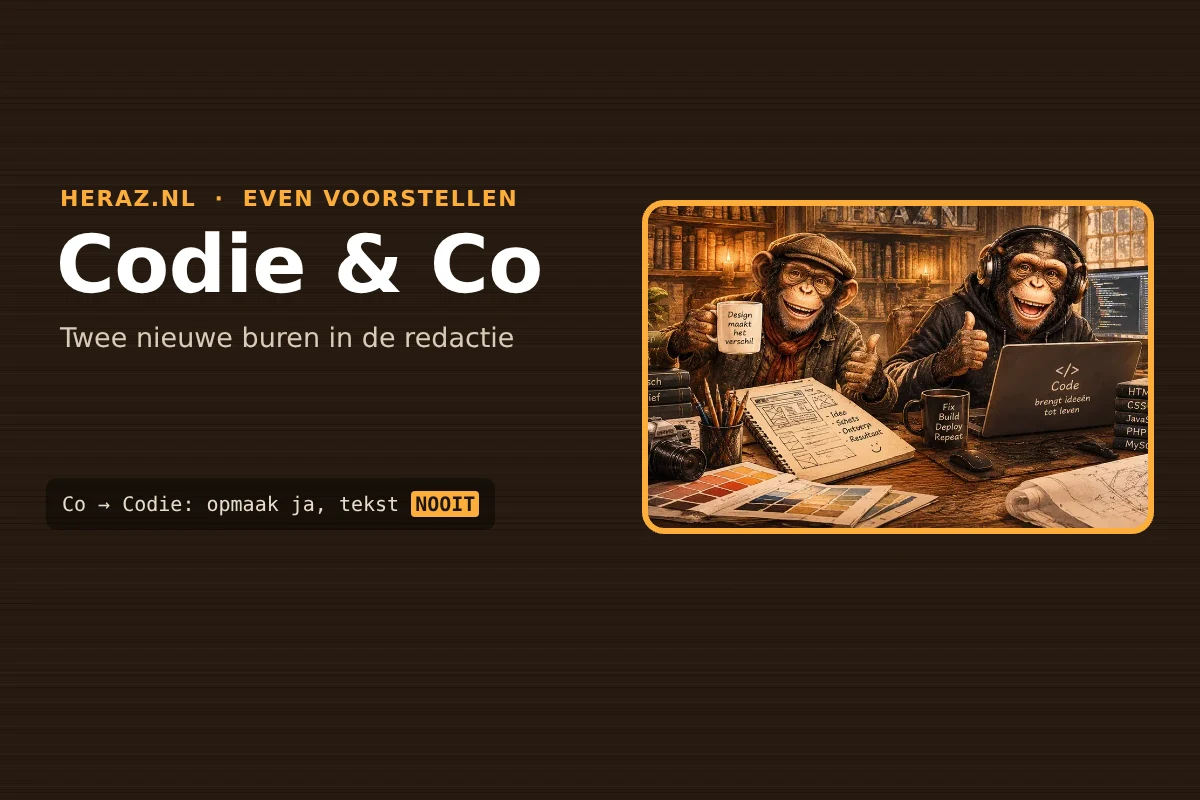 Even voorstellen: Codie en Co