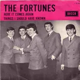 Hoes Fortunes - Here It Comes Again