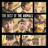 Hoes Animals - Don't Bring Me Down