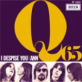 Hoes Q65 - I Despise You