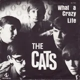Hoes Cats - What A Crazy Life