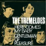 Hoes Tremeloes - Here Comes My Baby