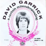 Hoes David Garrick - A Certain Misunderstanding