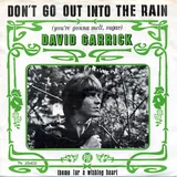 Hoes David Garrick - Don't Go Out Into The Rain (You're Gonna Melt Sugar)