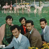 Hoes Tielman Brothers - Little Bird