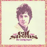 Hoes Cat Stevens - A Bad Night