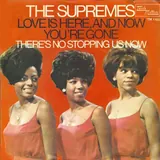 Hoes Supremes - Love Is Here And Now You're Gone