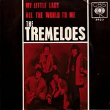 Hoes Tremeloes - My Little Lady
