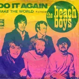 Hoes Beach Boys - Do It Again