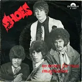 Hoes Shoes - No Money For Roses