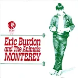 Hoes Eric Burdon & The Animals - Monterey