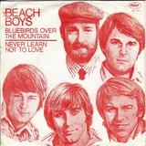 Hoes Beach Boys - Bluebirds Over The Mountain