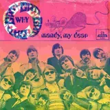 Hoes Cats - Why