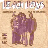 Hoes Beach Boys - Cottonfields