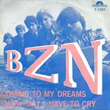 Hoes Bzn - Everyday I Have To Cry