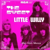 Hoes Sweet - Little Willy
