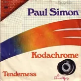 Hoes Paul Simon - Kodachrome