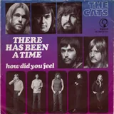 Hoes Cats - There Has Been A Time