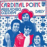 Hoes Cardinal Point - Arrivederci Goodbye