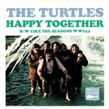 Hoes Turtles - Happy Together