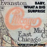 Hoes Chicago - Baby What A Big Surprise