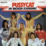 Hoes Pussycat - My Broken Souvenirs