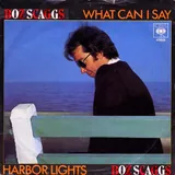 Hoes Boz Scaggs - What Can I Say
