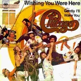 Hoes Chicago - Wishing You Were Here
