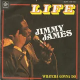 Hoes Jimmy James - Life