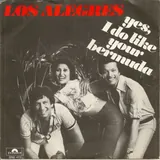 Hoes Los Alegres - Yes I Like Your Bermuda
