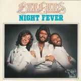 Hoes Bee Gees - Night Fever