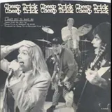 Hoes Cheap Trick - I Want You To Want Me