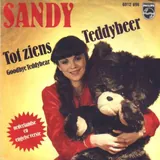 Hoes Sandy - Tot Ziens Teddybeer