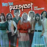 Hoes Pussycat - Hey Joe