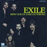 Hoes Exile - How Could This Go Wrong
