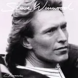 Hoes Steve Winwood - While You See A Chance