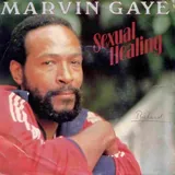 Hoes Marvin Gaye - Sexual Healing