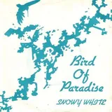 Hoes Snowy White - Bird Of Paradise