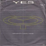 Hoes Yes - Owner Of A Lonely Heart