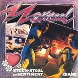 Hoes Normaal - Steen Stoal En Sentiment