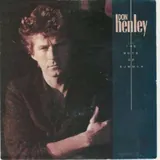 Hoes Don Henley - The Boys Of Summer