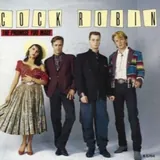 Hoes Cock Robin - The Promise You Made