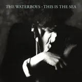 Hoes Waterboys - The Whole Of The Moon