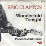 Hoes Eric Clapton - Wonderful Tonight