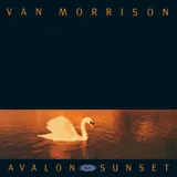 Hoes Van Morrison - Have I Told You Lately