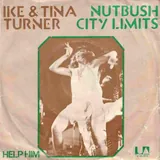 Hoes Tina Turner - Nutbush City Limits (Nieuwe Versie)