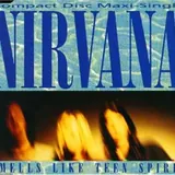 Hoes Nirvana - Smells Like Teen Spirit