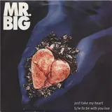 Hoes Mr. Big - Just Take My Heart